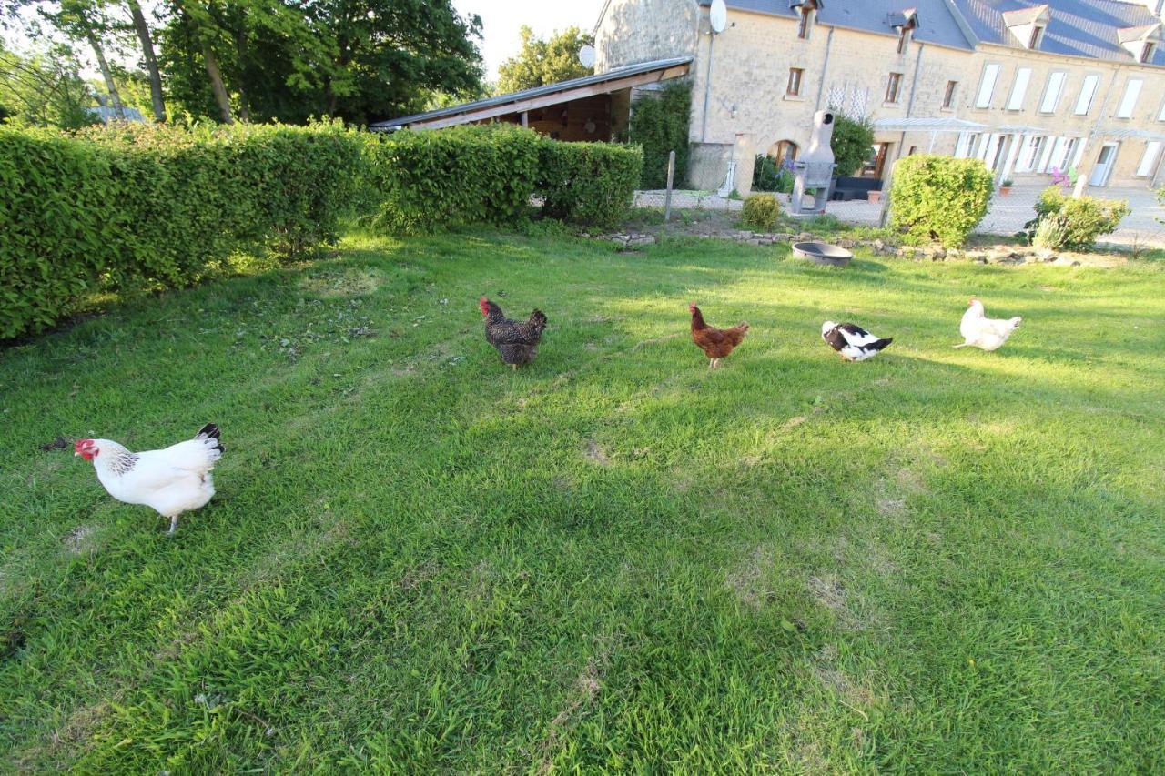 La Ferme Aux Chats Formigny Dış mekan fotoğraf